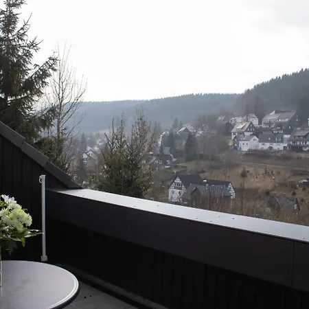 Beautiful In Silbach With Balcony Appartement Winterberg