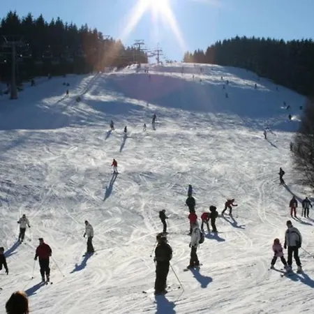 Beautiful In Silbach With Balcony * Winterberg